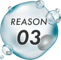 REASON 03