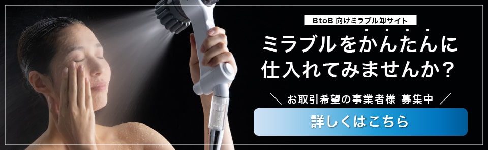 BtoB向けミラブル卸サイト