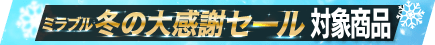 冬の大感謝祭セール