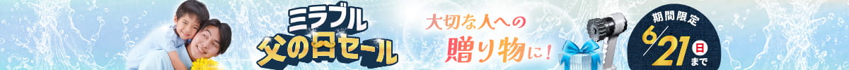 セールバナー