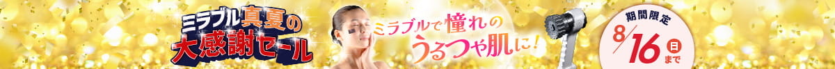 セールバナー