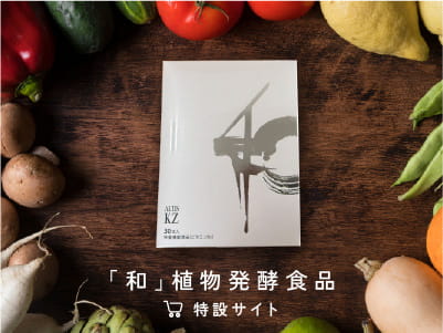 和植物発酵食品