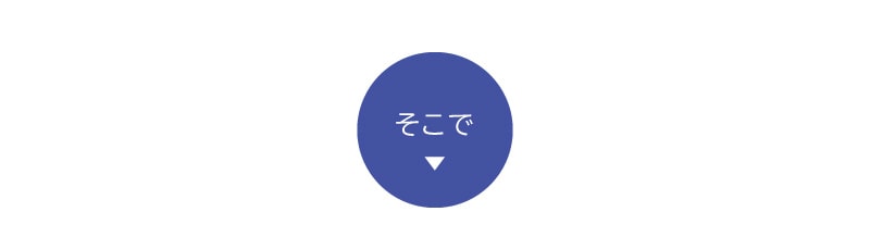 トルネードスティック定期購入