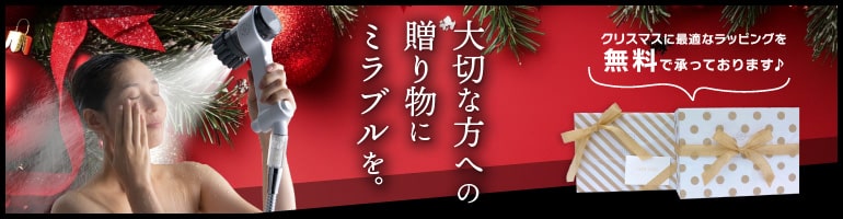 クリスマスご優待セール